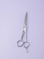 Professional Hair Scissors - Professional Stainless Steel Hair Cutting Scissors - 6.4 Inch Overall Length - Razor Edge Barber Scissors for Men and Women - Premium Hair Cutting Scissors for Salon and Home Use