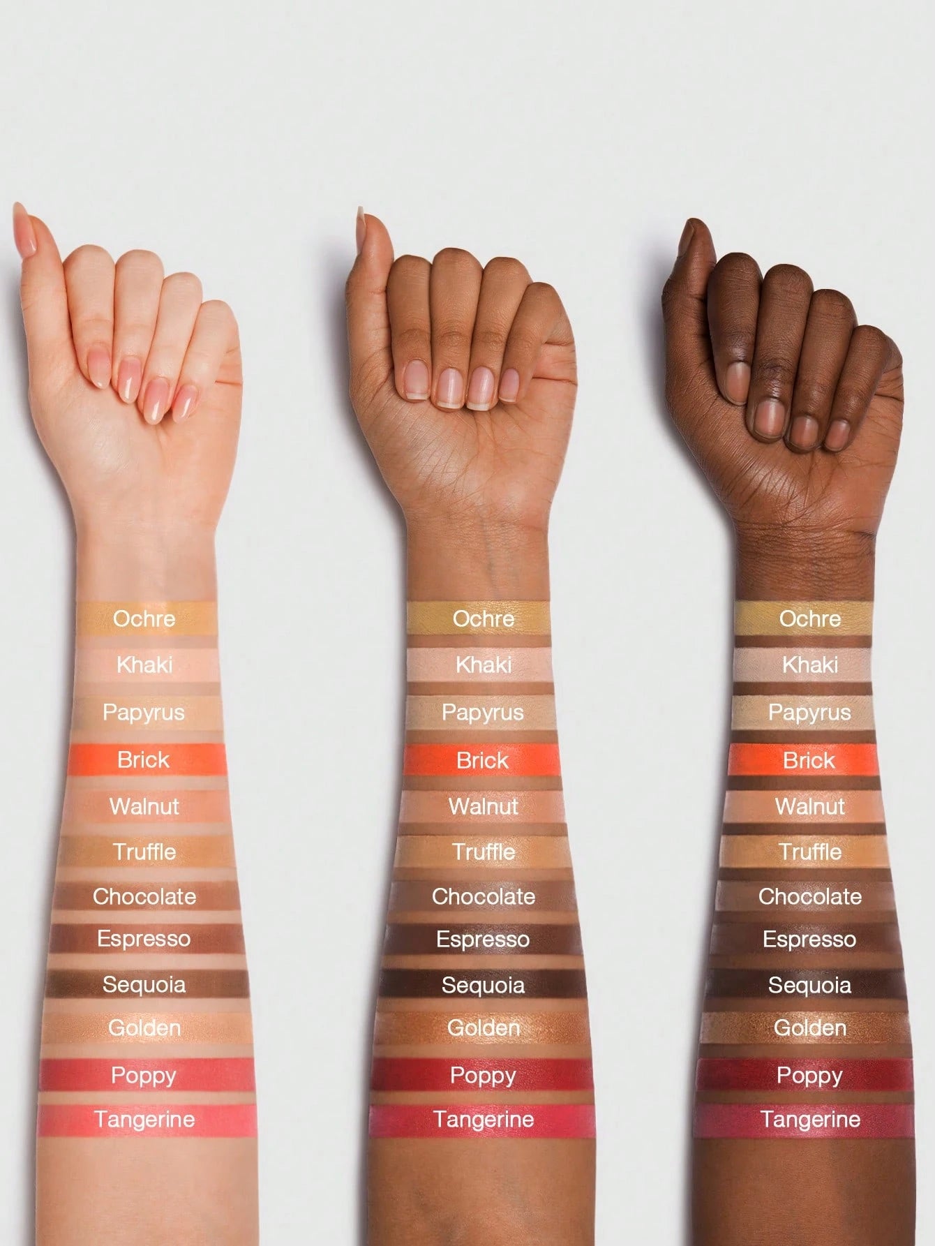 لوحة ألوان الوجه متعددة الوظائف من شيغلام "كل شيء عن ذلك الوجه"